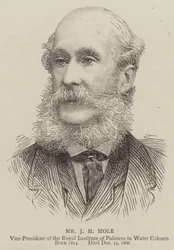 Herr J. H. Mole